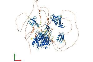 AlphaFold protein structure predicition of Human Recombinant ADAR Protein, UniprotID P55265
