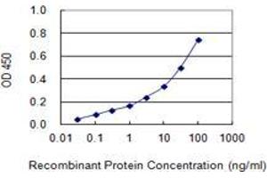 Detection limit for recombinant GST tagged MLXIPL is 0. (MLXIPL anticorps  (AA 603-700))