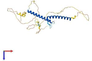AlphaFold protein structure predicition of Mouse Recombinant Olig3 Protein, UniprotID Q6PFG8