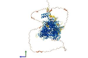 AlphaFold protein structure predicition of Human Recombinant DIP2A Protein, UniprotID Q14689