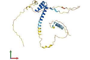 AlphaFold protein structure predicition of Human Recombinant PRRX1 Protein, UniprotID P54821