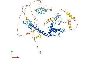 AlphaFold protein structure predicition of Mouse Recombinant Mkrn1 Protein, UniprotID Q9QXP6