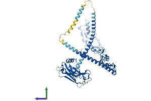 AlphaFold protein structure predicition of Human Recombinant TRAF5 Protein, UniprotID O00463