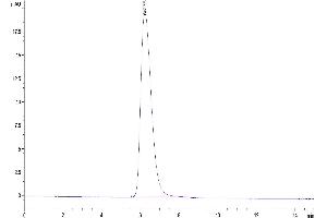 The purity of Human TROP-2 is greater than 95 % as determined by SEC-HPLC. (TACSTD2 Protein (AA 27-274) (hFc Tag))