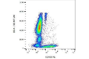 Surface staining of CD150 in human peripheral blood with anti-CD150 (SLAM. (SLAMF1 anticorps  (PE))