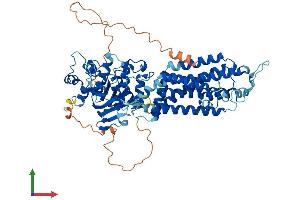 AlphaFold protein structure predicition of Human Recombinant ABCG1 Protein, UniprotID P45844