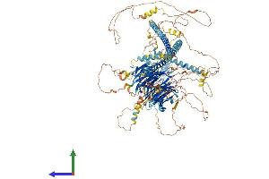 AlphaFold protein structure predicition of Mouse Recombinant Spag9 Protein, UniprotID Q58A65