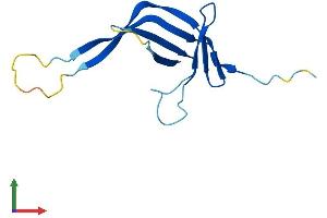 AlphaFold protein structure predicition of Mouse Recombinant Chtf8 Protein, UniprotID P0CG15
