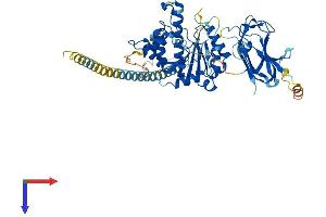 AlphaFold protein structure predicition of Mouse Recombinant Mgat4b Protein, UniprotID Q812F8