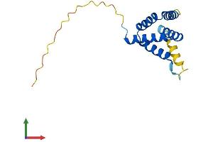 AlphaFold protein structure predicition of Human Recombinant C14orf119 Protein, UniprotID Q9NWQ9