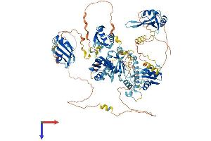 AlphaFold protein structure predicition of Mouse Recombinant Rbm19 Protein, UniprotID Q8R3C6