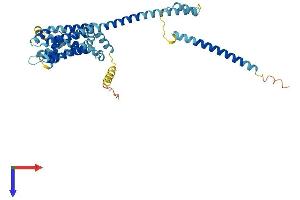 AlphaFold protein structure predicition of Mouse Recombinant Catsper3 Protein, UniprotID Q80W99