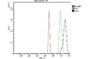 Flow Cytometry analysis of K562 cells using anti-DNA Ligase III/LIG3 antibody (ABIN7601167).