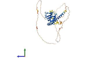AlphaFold protein structure predicition of Mouse Recombinant Tspyl5 Protein, UniprotID Q69ZB3