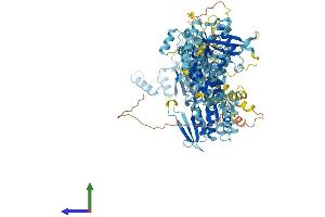 AlphaFold protein structure predicition of Mouse Recombinant Nat10 Protein, UniprotID Q8K224