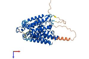 AlphaFold protein structure predicition of Human Recombinant MBOAT2 Protein, UniprotID Q6ZWT7