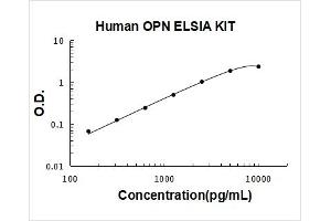 Secreted phosphoprotein 1 (SPP1) ELISA Kit