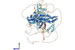 AlphaFold protein structure predicition of Human Recombinant ZNF862 Protein, UniprotID O60290