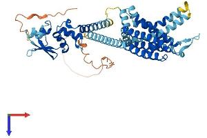 AlphaFold protein structure predicition of Human Recombinant KCNF1 Protein, UniprotID Q9H3M0