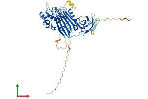 AlphaFold protein structure predicition of Mouse Recombinant Inpp5k Protein, UniprotID Q8C5L6