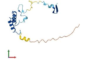 AlphaFold protein structure predicition of Human Recombinant CHCHD4 Protein, UniprotID Q8N4Q1
