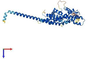 AlphaFold protein structure predicition of Mouse Recombinant Pex3 Protein, UniprotID Q9QXY9