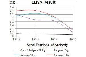Black line: Control Antigen (100 ng), Purple line: Antigen(10 ng), Blue line: Antigen (50 ng), Red line: Antigen (100 ng), (MAP1LC3A anticorps  (AA 1-121))