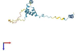 AlphaFold protein structure predicition of Human Recombinant RPS19BP1 Protein, UniprotID Q86WX3