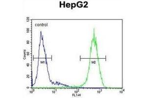 Flow cytometric analysis of HepG2 cells using CD102/ICAM2 Antibody (Center) Cat. (ICAM2 anticorps  (Middle Region))
