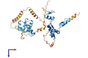 AlphaFold protein structure predicition of Human Recombinant ZNF24 Protein, UniprotID P17028