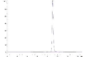 The purity of Biotinylated Human EpCAM is greater than 95 % as determined by SEC-HPLC.