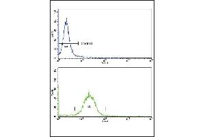 Flow cytometric analysis of MDA-231 cells using ARGBP2 Antibody (N-term)(bottom histogram) compared to a negative control cell (top histogram).