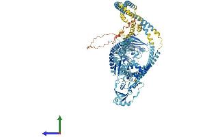 AlphaFold protein structure predicition of Human Recombinant SMC5 Protein, UniprotID Q8IY18