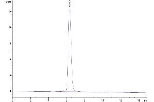 The purity of Biotinylated Human PDGF R alpha/PDGFRA is greater than 95 % as determined by SEC-HPLC.