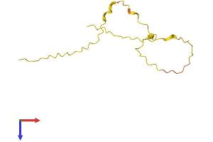 AlphaFold protein structure predicition of Human Recombinant SPATA8 Protein, UniprotID Q6RVD6