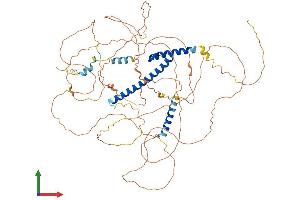 AlphaFold protein structure predicition of Mouse Recombinant Tcf4 Protein, UniprotID Q60722