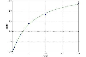 Eukaryotic Translation Initiation Factor 3 Subunit A (EIF3A) ELISA Kit
