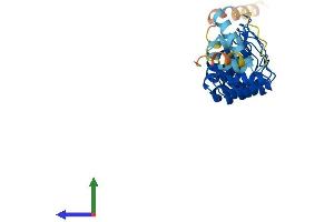 AlphaFold protein structure predicition of Human Recombinant ANKRD7 Protein, UniprotID Q92527