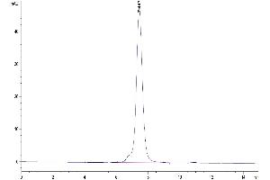 The purity of Mouse NKG2A&CD94 is greater than 95 % as determined by SEC-HPLC.