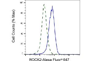 Validation of ROCK2 knockdown using flow cytometry. (Recombinant ROCK2 anticorps)