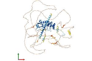 AlphaFold protein structure predicition of Mouse Recombinant Ppp1r13l Protein, UniprotID Q5I1X5