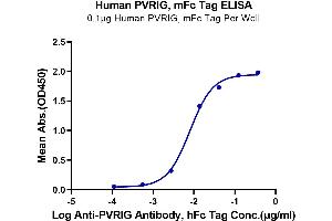 Immobilized Human PVRIG at 1 μg/mL (100 μL/well) on the plate.