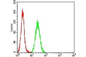 anti-BCL2-Associated X Protein (BAX) antibody