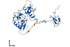 AlphaFold protein structure predicition of Mouse Recombinant Phf7 Protein, UniprotID Q9DAG9
