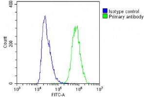 Overlay histogram showing A431 cells stained with (ABIN6242768 and ABIN6578855)(green line).