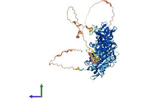 AlphaFold protein structure predicition of Mouse Recombinant Nsun2 Protein, UniprotID Q1HFZ0