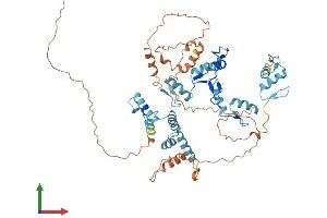 AlphaFold protein structure predicition of Human Recombinant ZKSCAN4 Protein, UniprotID Q969J2