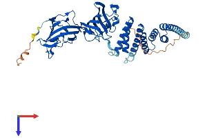 AlphaFold protein structure predicition of Mouse Recombinant Fkbp4 Protein, UniprotID P30416