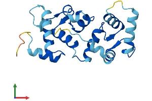 AlphaFold protein structure predicition of Mouse Recombinant Cib4 Protein, UniprotID Q9D9N5
