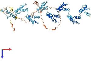 AlphaFold protein structure predicition of Human Recombinant ZNF599 Protein, UniprotID Q96NL3